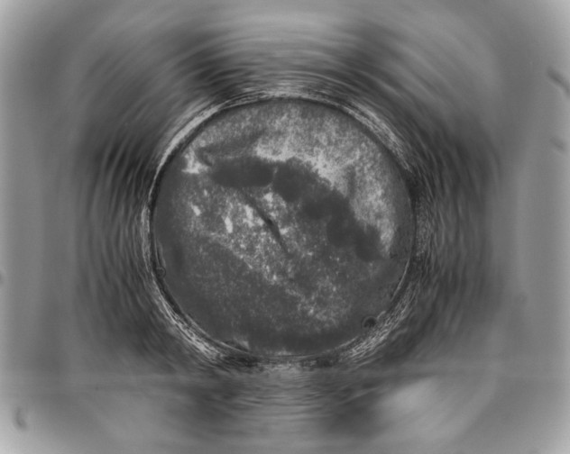 X0000096420798200802141633