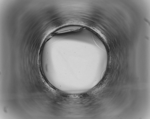 X0000096420799200802141633