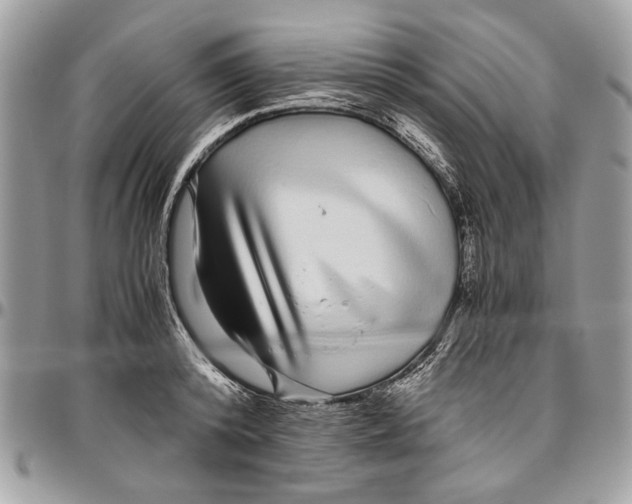 X0000096420800200802141633