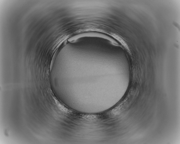 X0000096420801200802141633