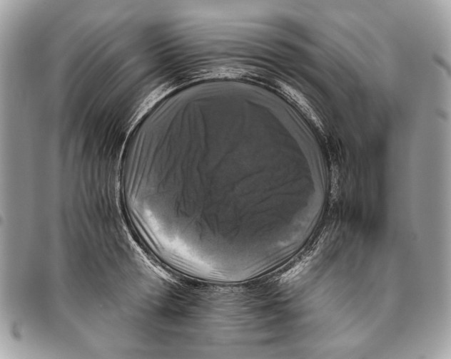 X0000096420802200802141633