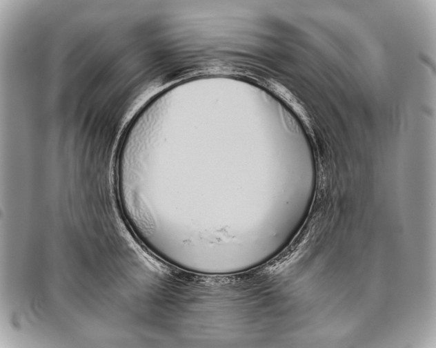 X0000096420803200802141633