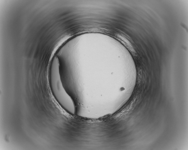 X0000096420804200802141633