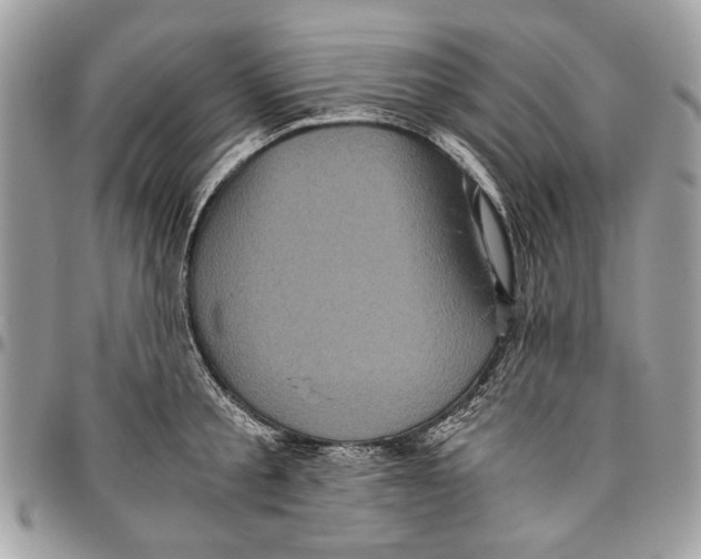 X0000096420805200802141633