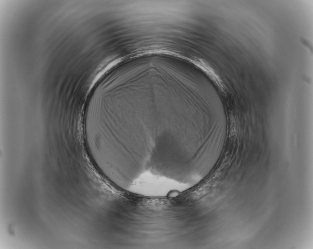 X0000096420806200802141633