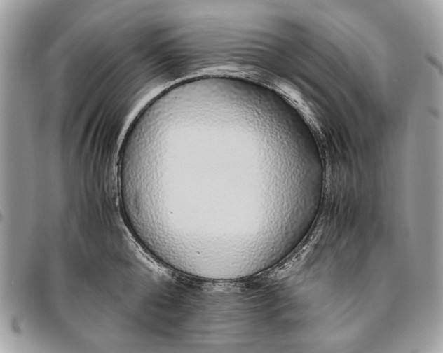 X0000096420808200802141633