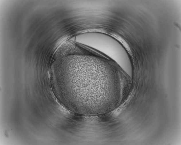 X0000096420809200802141633