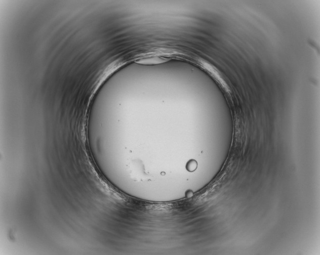 X0000096420810200802141633