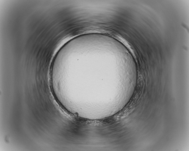 X0000096420811200802141633