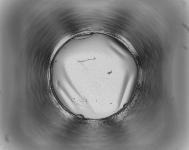 X0000096420812200802141633