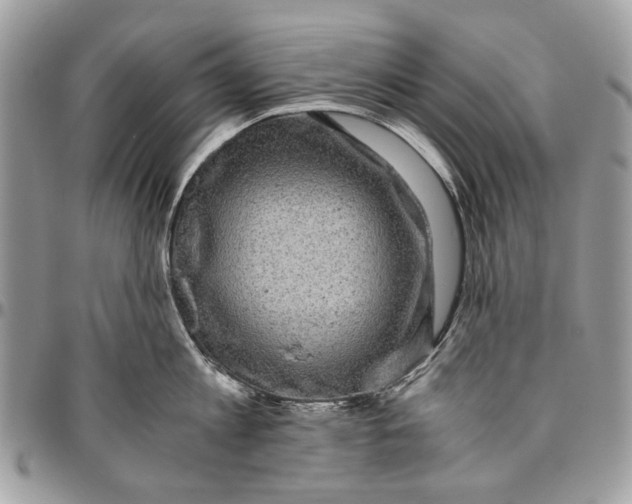 X0000096420813200802141633