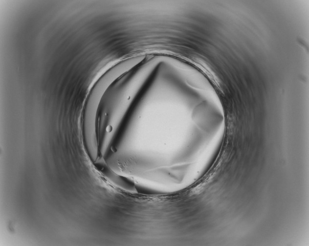 X0000096420814200802141633