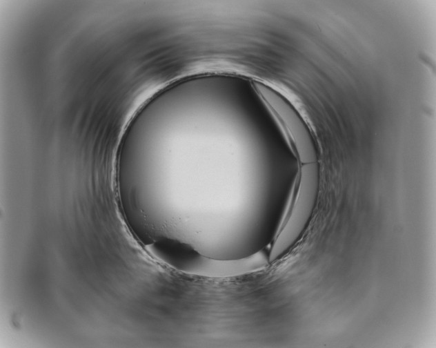 X0000096420815200802141633