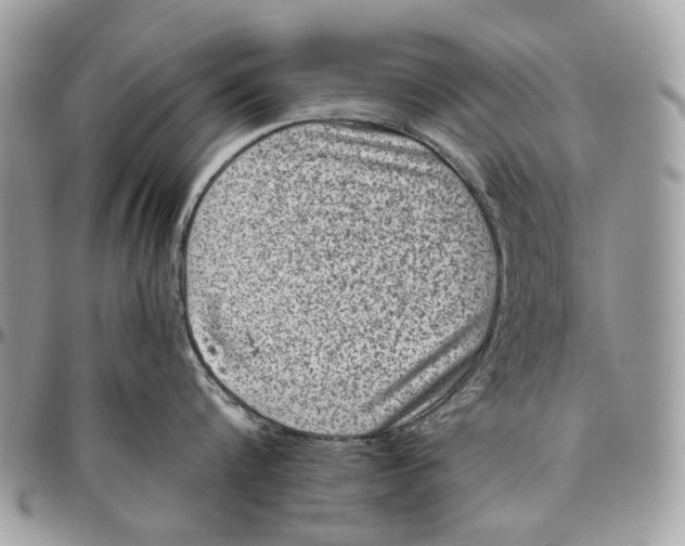 X0000096420816200802141633