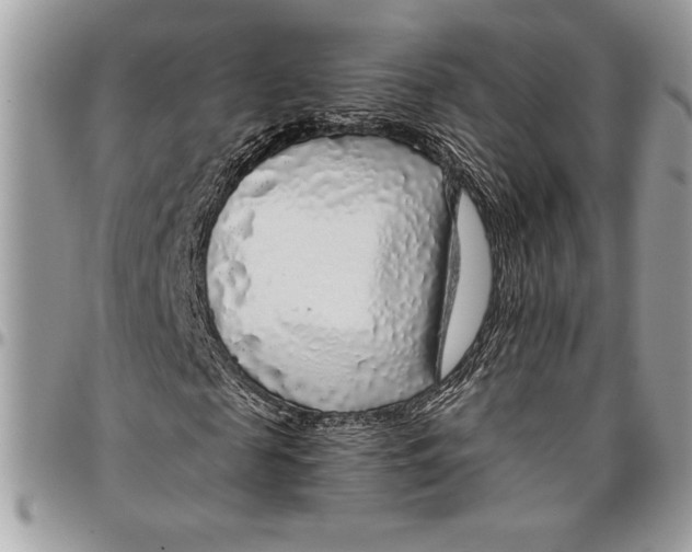 X0000096420817200802141632