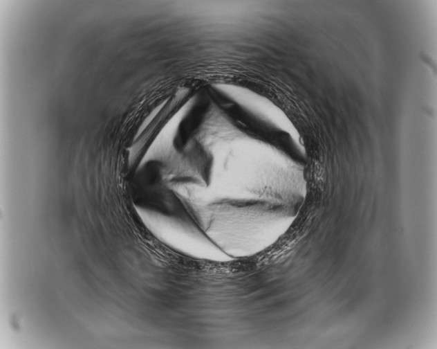 X0000096420818200802141632