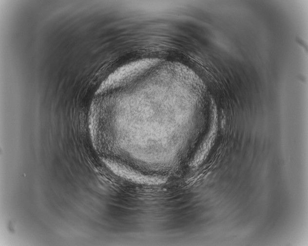 X0000096420819200802141632