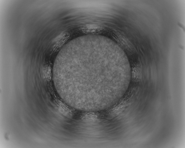 X0000096420820200802141632