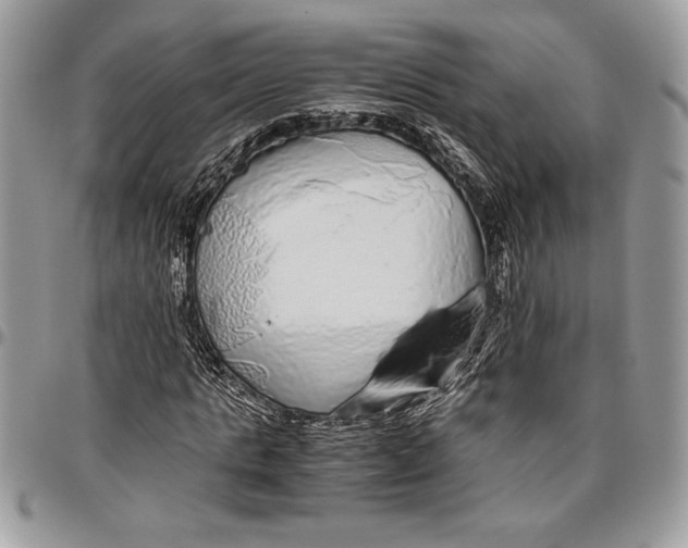 X0000096420821200802141632