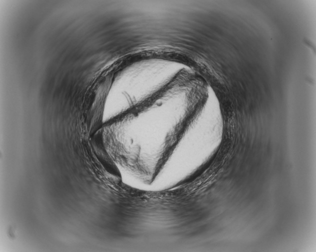 X0000096420822200802141632