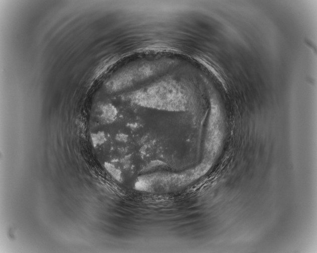 X0000096420823200802141632