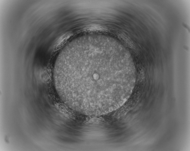 X0000096420824200802141632