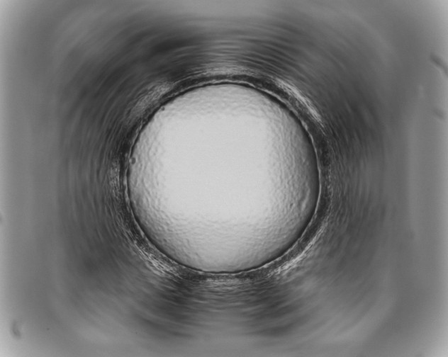 X0000096420825200802141632