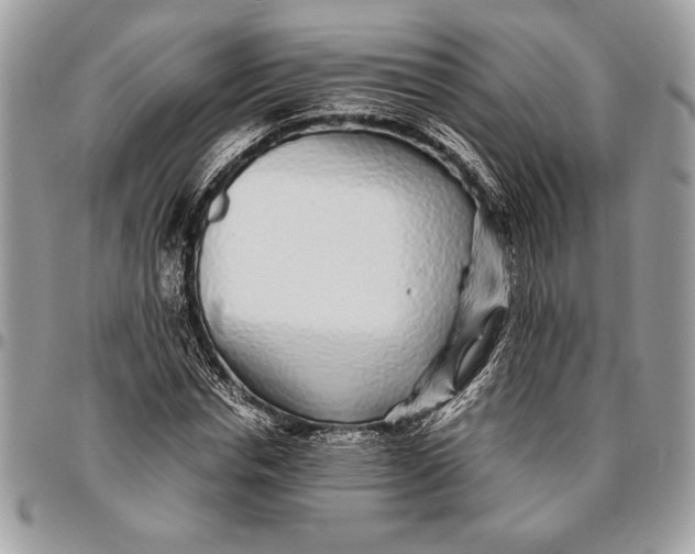 X0000096420826200802141632