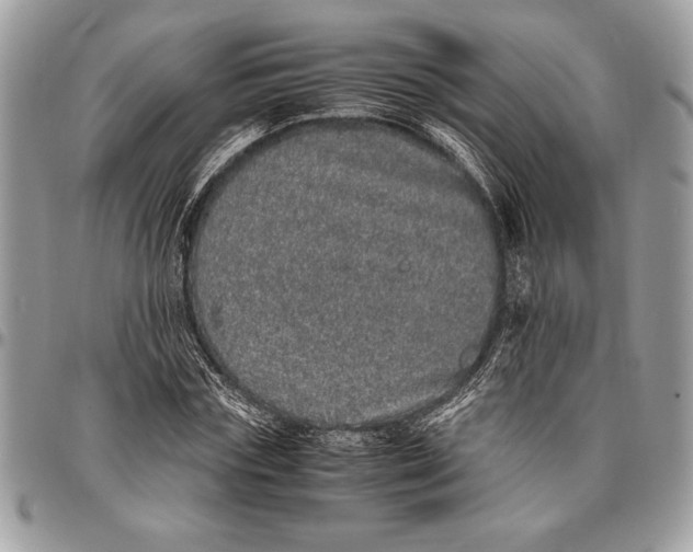 X0000096420827200802141632