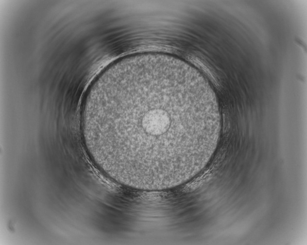 X0000096420828200802141632