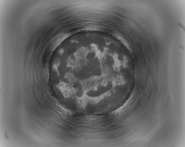 X0000096420829200802141632