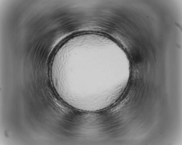 X0000096420830200802141632