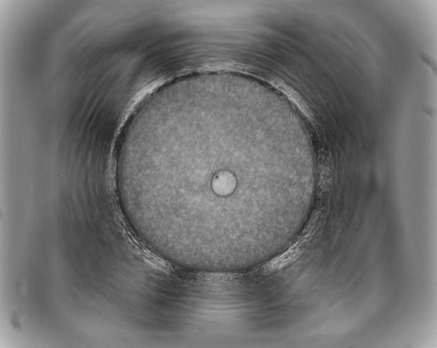 X0000096420832200802141632