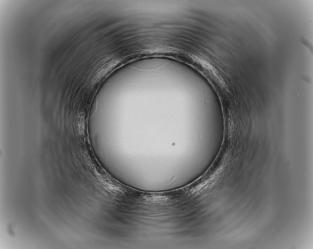 X0000096420833200802141632