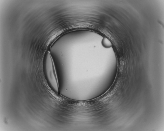 X0000096420834200802141632