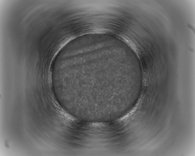 X0000096420835200802141632