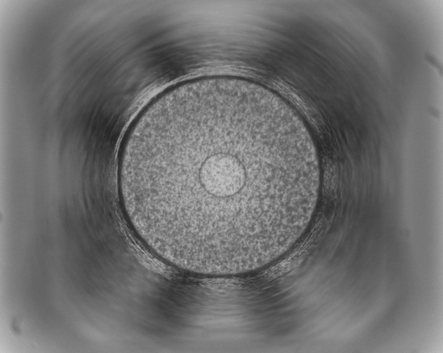 X0000096420836200802141632