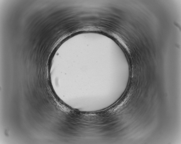 X0000096420837200802141632