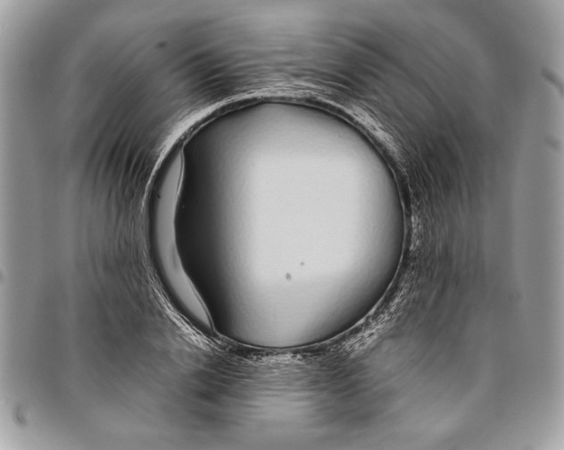 X0000096420838200802141632