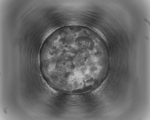 X0000096420839200802141632