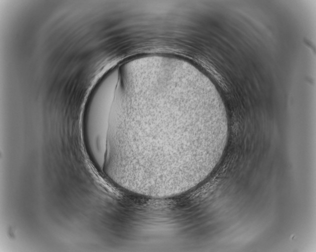 X0000096420840200802141632