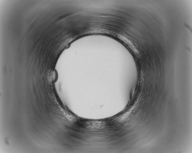 X0000096420841200802141632