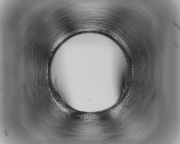 X0000096420842200802141632