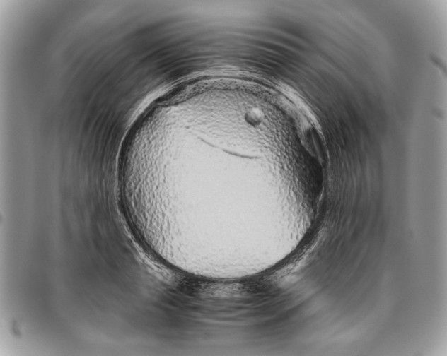 X0000096420845200802141632