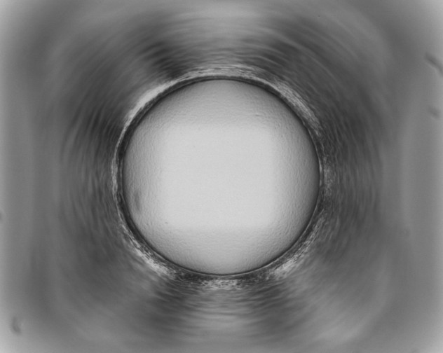 X0000096420846200802141632