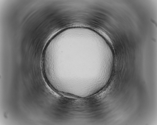 X0000096420847200802141632