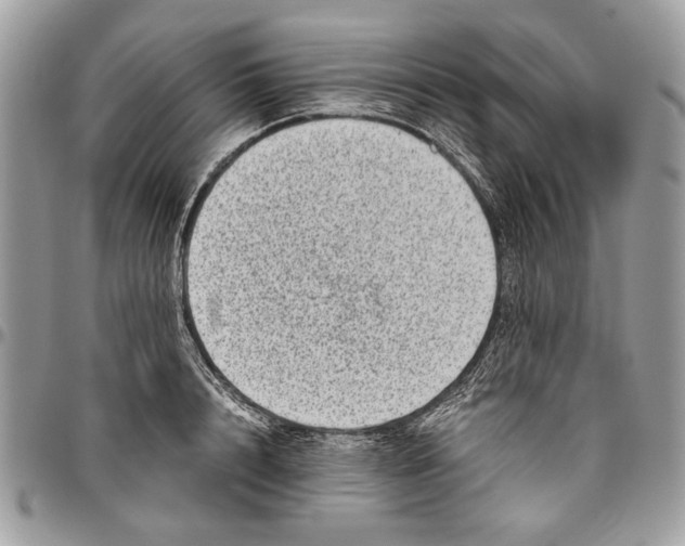 X0000096420848200802141632