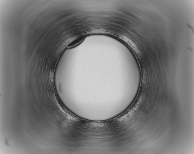 X0000096420849200802141632