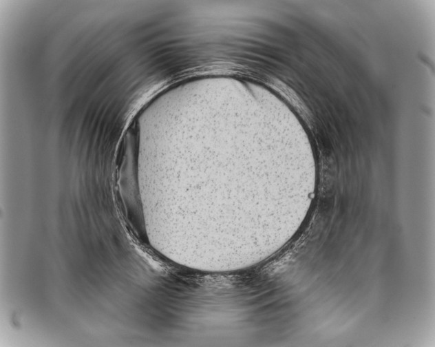 X0000096420850200802141632