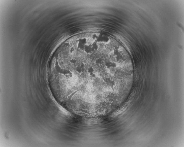 X0000096420851200802141632